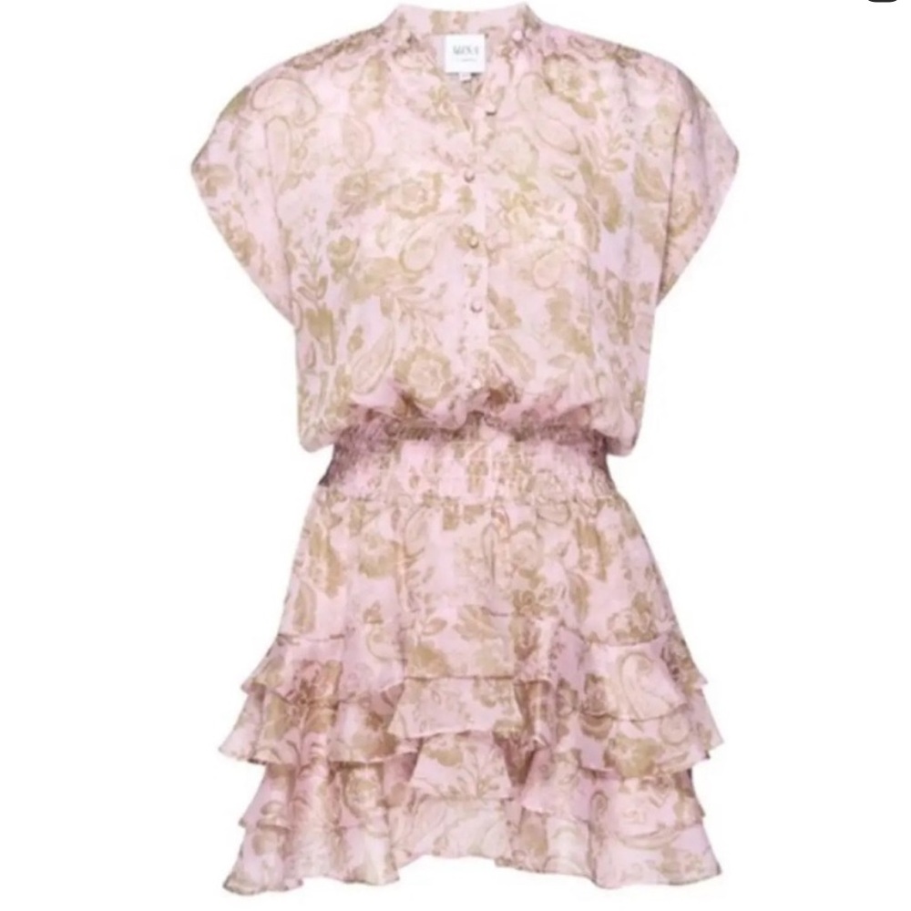 NWT Misa Los Angeles Evie dress in Rose Paisley Size: XS